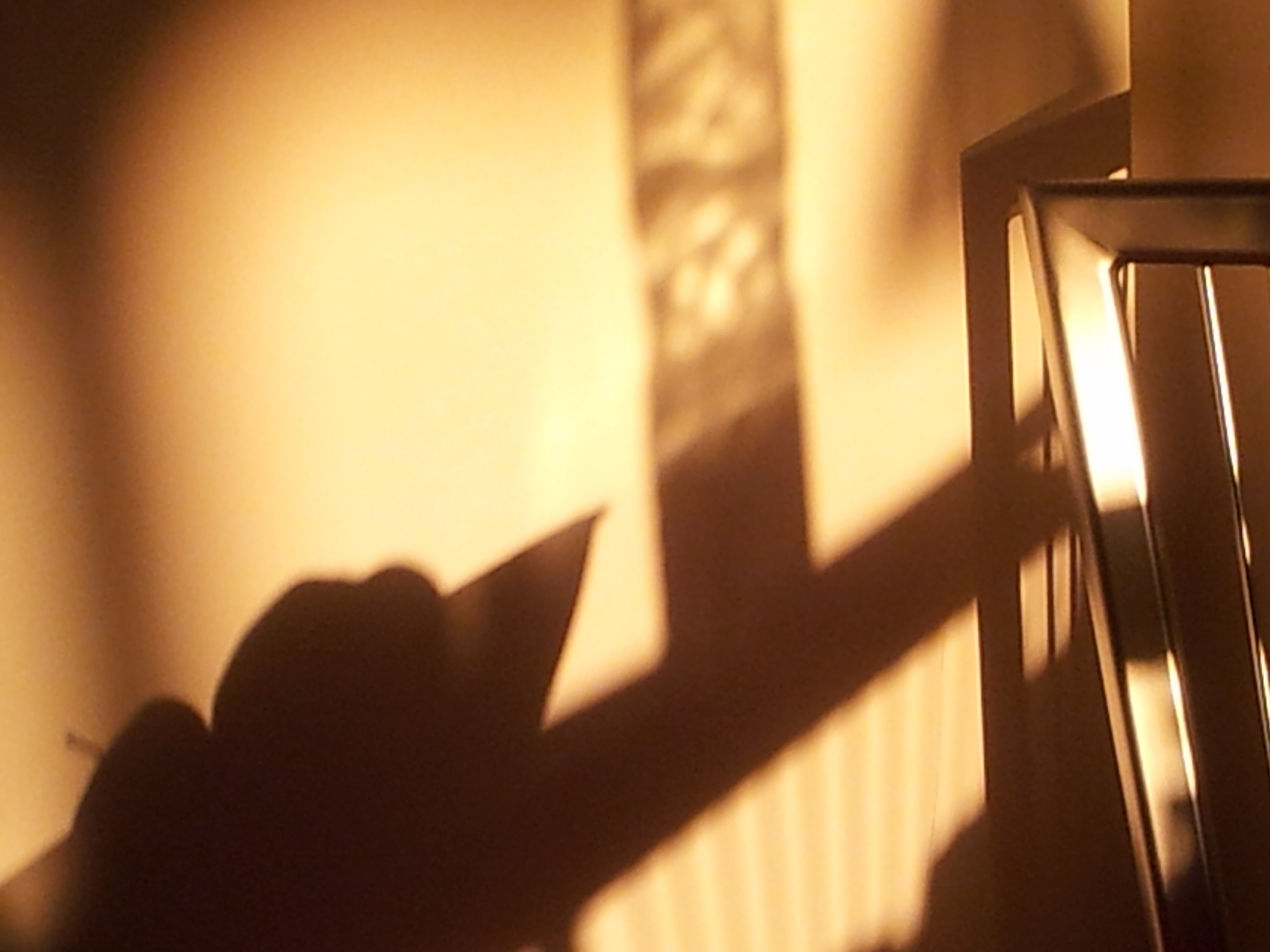 L’ombre et la lumière